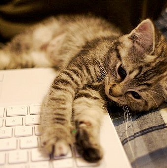 Generic placeholder image